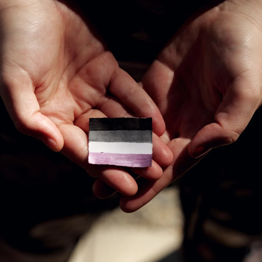 Eine Person hält eine winzige Asexuellen-Flaggen in ihren Händen.